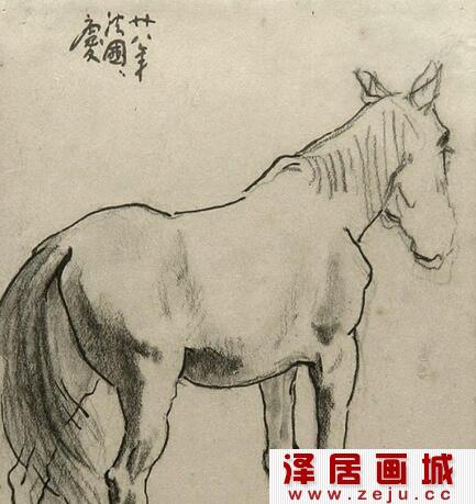 徐悲鸿素描马