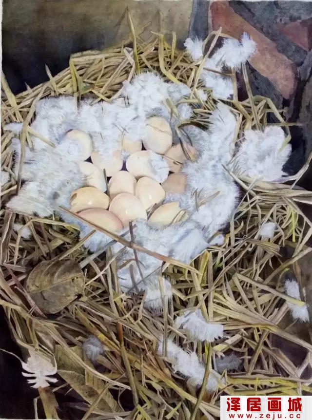 逼真鸡蛋水彩画绘画教程