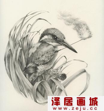 精美的禽鸟素描作品欣赏