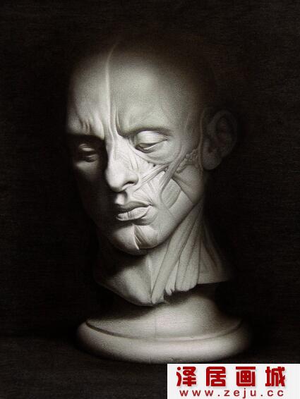 刻画精细的石膏像素描作品