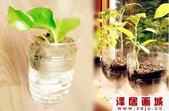 DIY手工制作植物墙教程