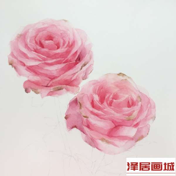 一步一步教你用水彩画玫瑰，水彩玫瑰画法步骤图