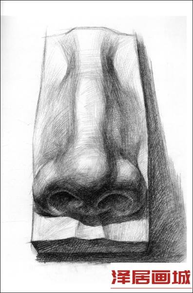 素描鼻子
