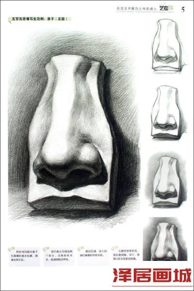 素描鼻子的画法步骤