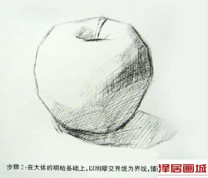 苹果写生步骤