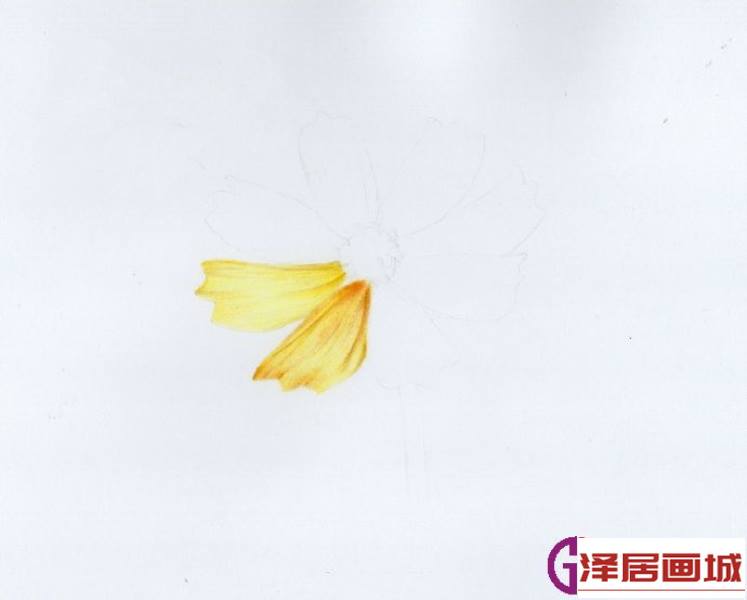 彩色花.jpg