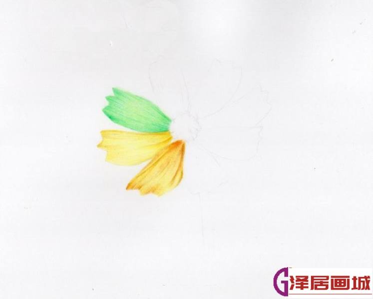 彩色花2.jpg