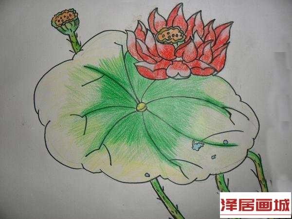 儿童画夏日荷花盛开