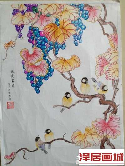 儿童画葡萄成熟了