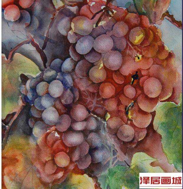 儿童画美味的葡萄