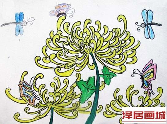 儿童画菊花