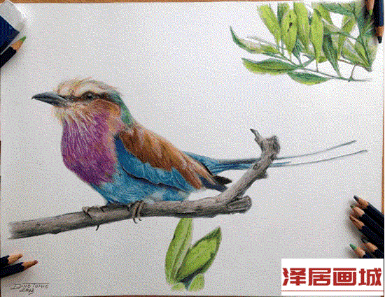 儿童画枝桠上的小鸟