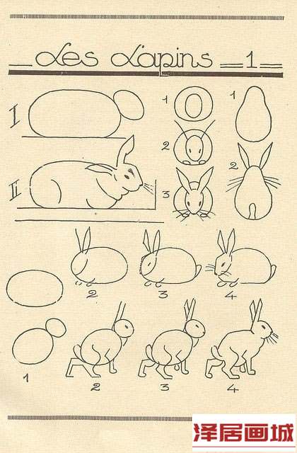 四种兔子简笔画的画法