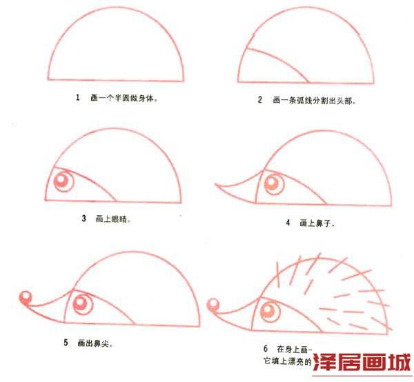 简单可爱小刺猬简笔画图片教程