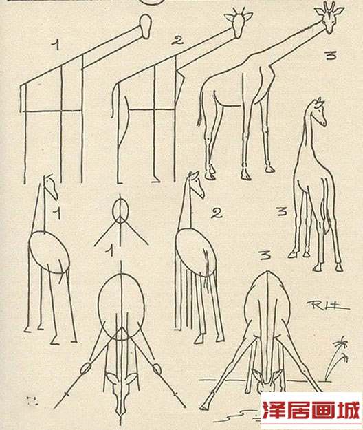 简笔画长颈鹿的画法图片