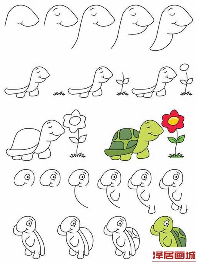 简笔画卡通乌龟的图片教程