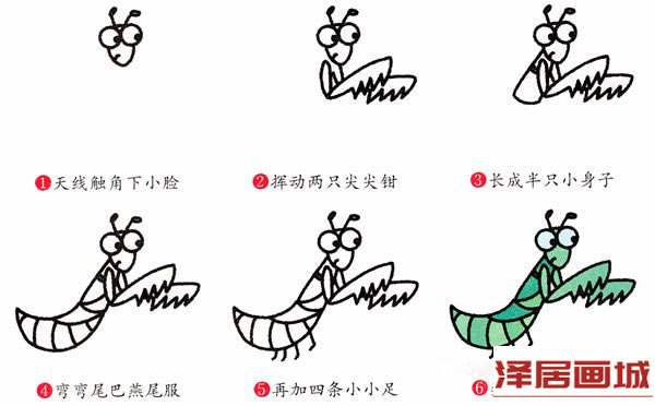 简笔画可爱螳螂的图片步骤