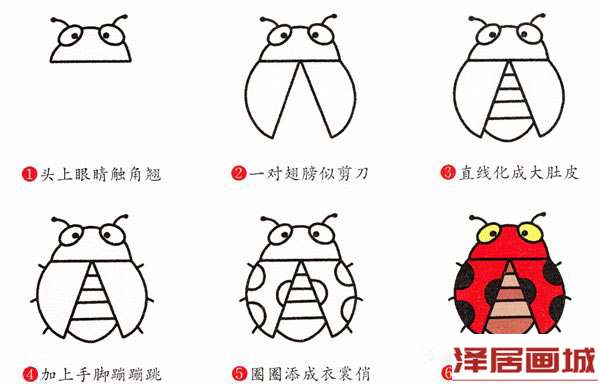 简笔画彩色瓢虫的画法图片