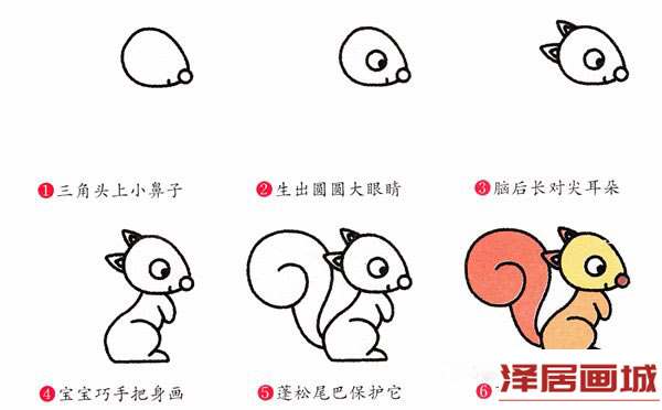 可爱的小松鼠简笔画图片教程