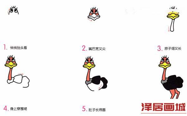 搞笑卡通鸵鸟简笔画图片教程