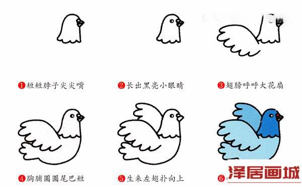 飞翔的鸽子简笔画画法图片