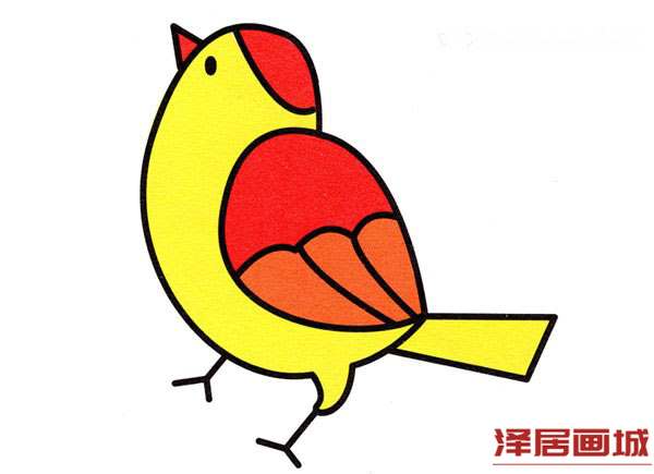 彩色的小黄雀简笔画的画法图片
