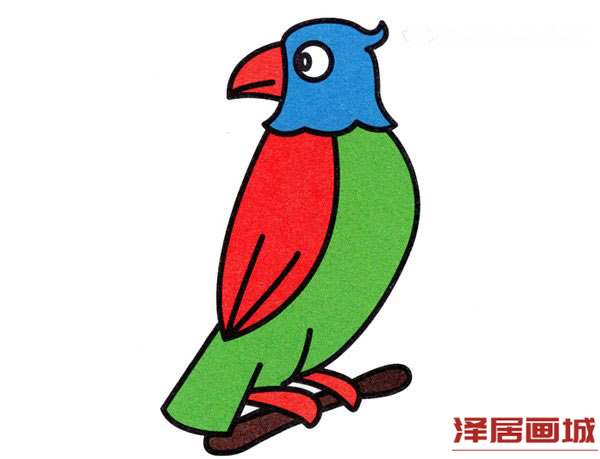 彩色的鹦鹉简笔画画法图片