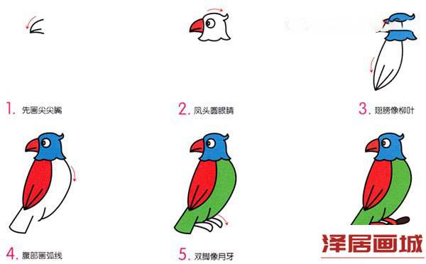 彩色的鹦鹉简笔画画法图片