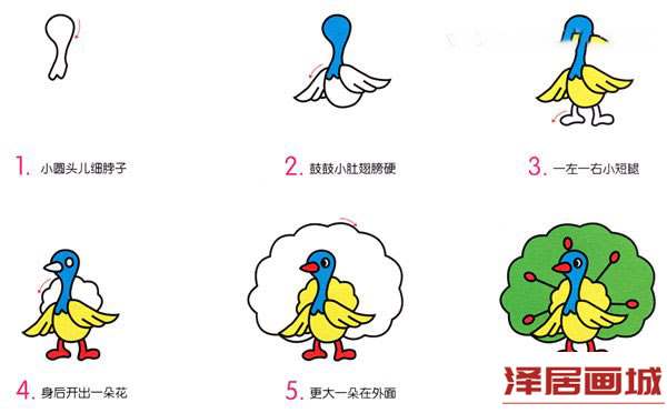 孔雀开屏的简笔画画法图片有颜色