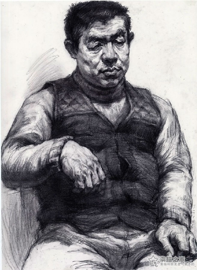 素描男中年半身像分析讲解