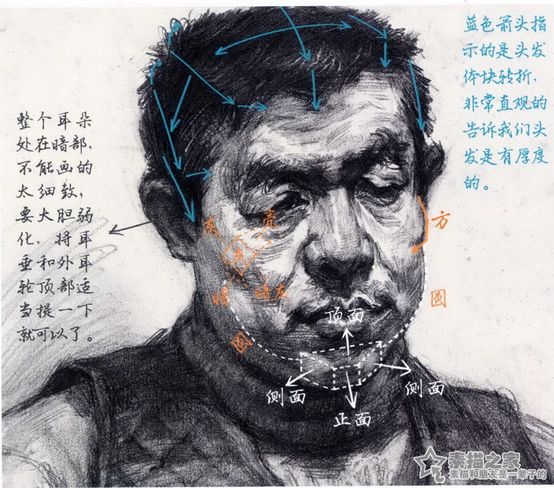 素描男中年半身像分析讲解