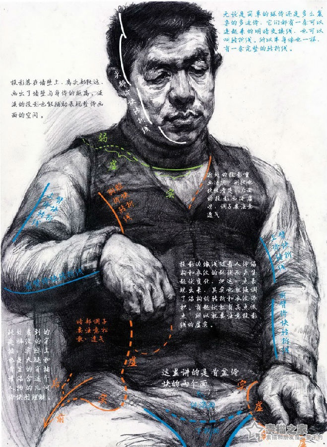素描男中年半身像分析讲解
