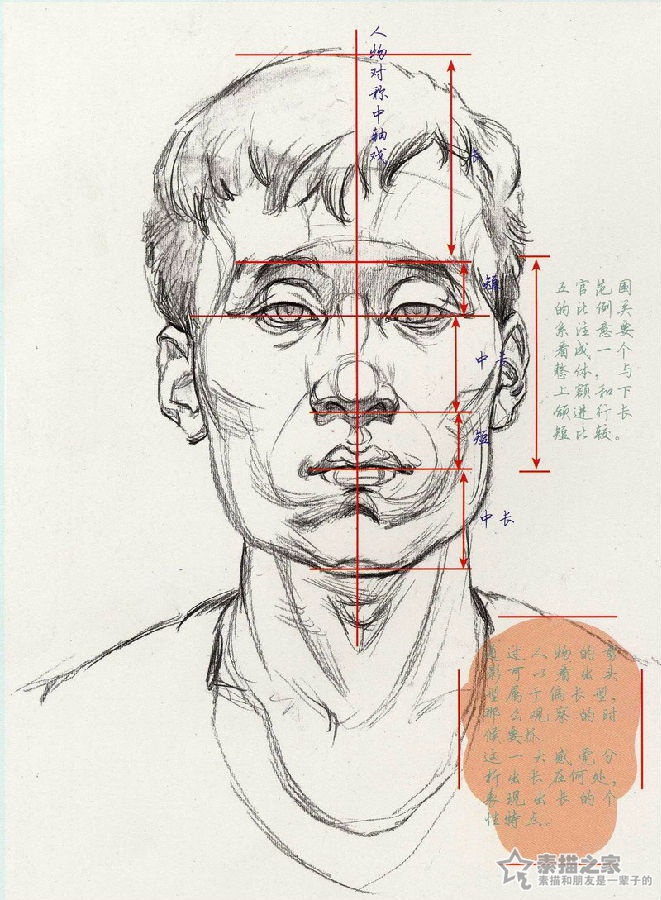 男青年素描头像结构分析