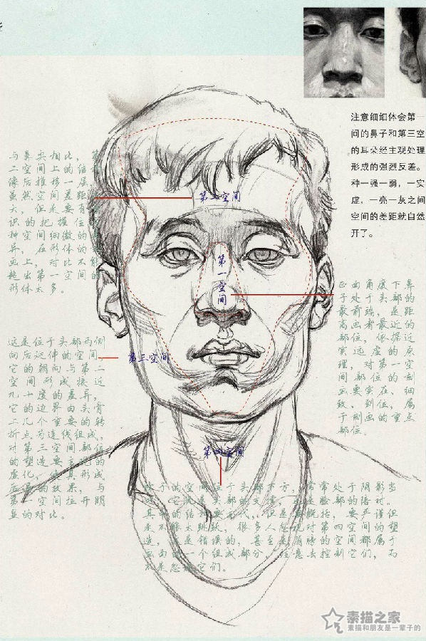 男青年素描头像结构分析
