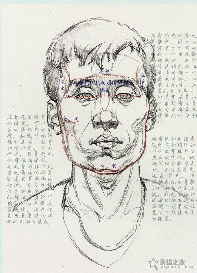 男青年素描头像结构分析