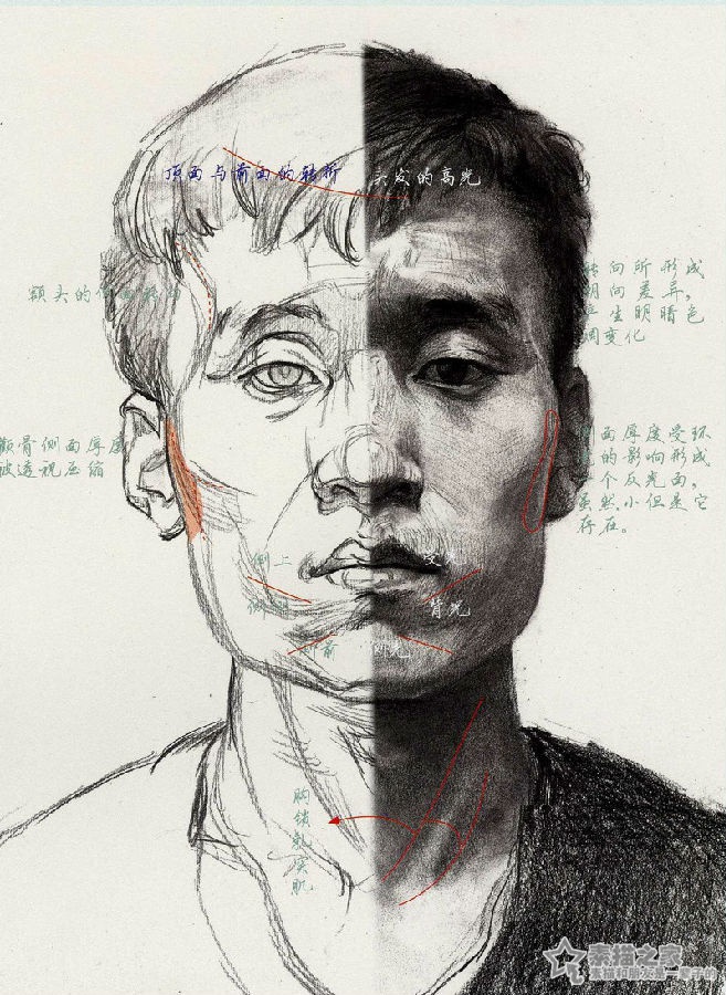 男青年素描头像结构分析