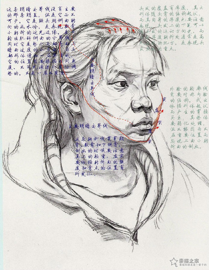 素描女青年头像讲解分析