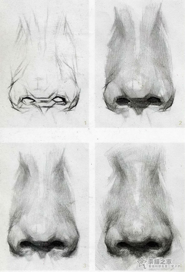 素描五官的鼻子画法