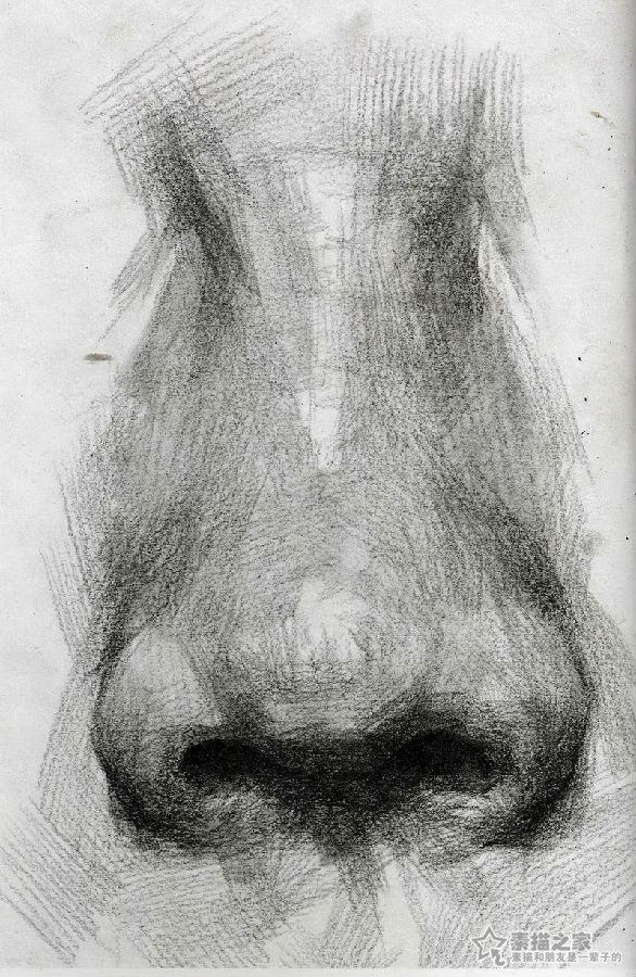 素描五官的鼻子画法