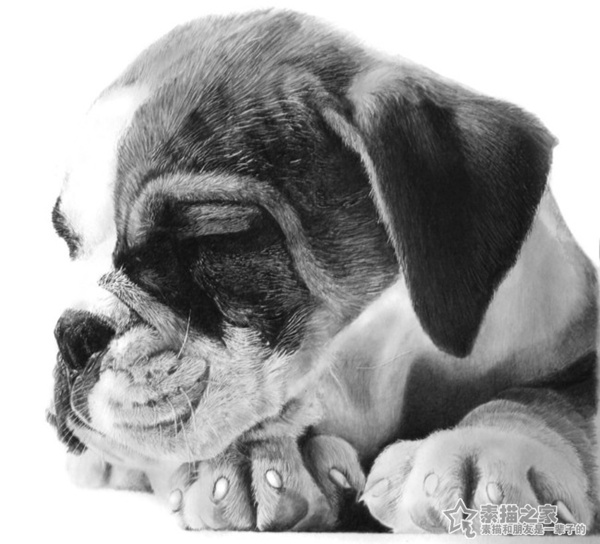 Franco Clun素描画作品