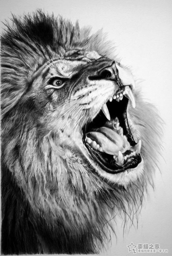 素描画