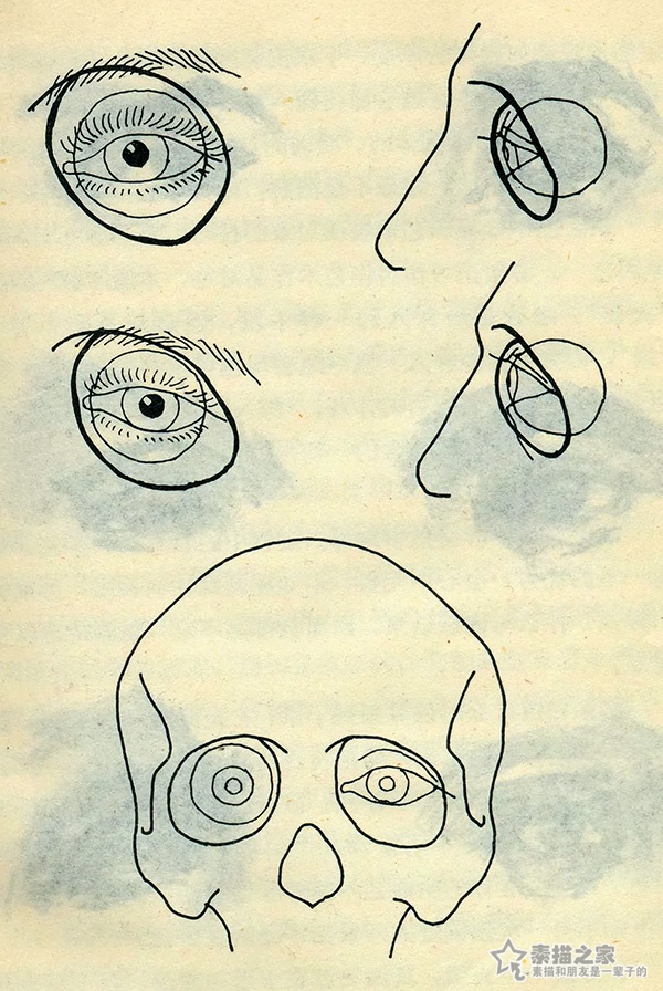 素描眼睛