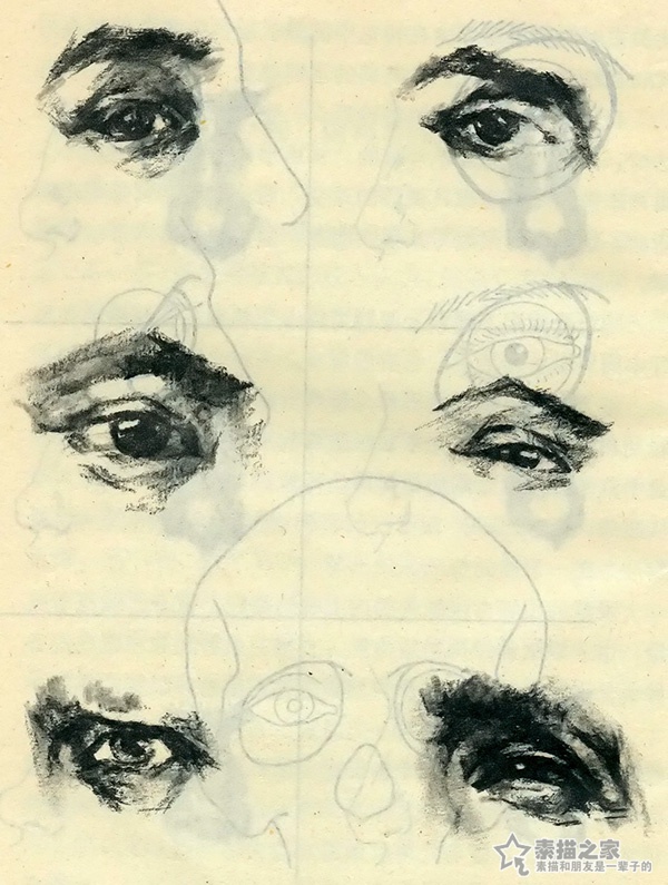 素描眼睛