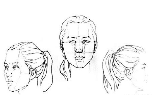 头部素描