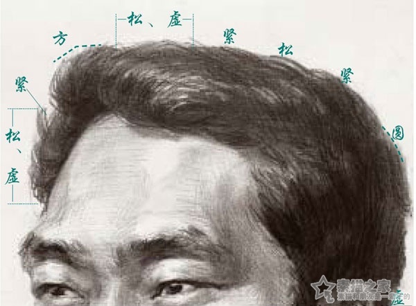 素描头像头发的画法
